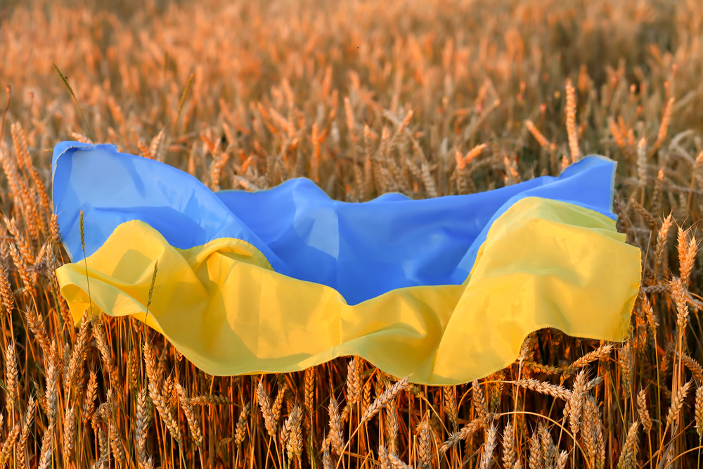 3 vende evropiane vendosin kufizime mbi importet e grurit ukrainas